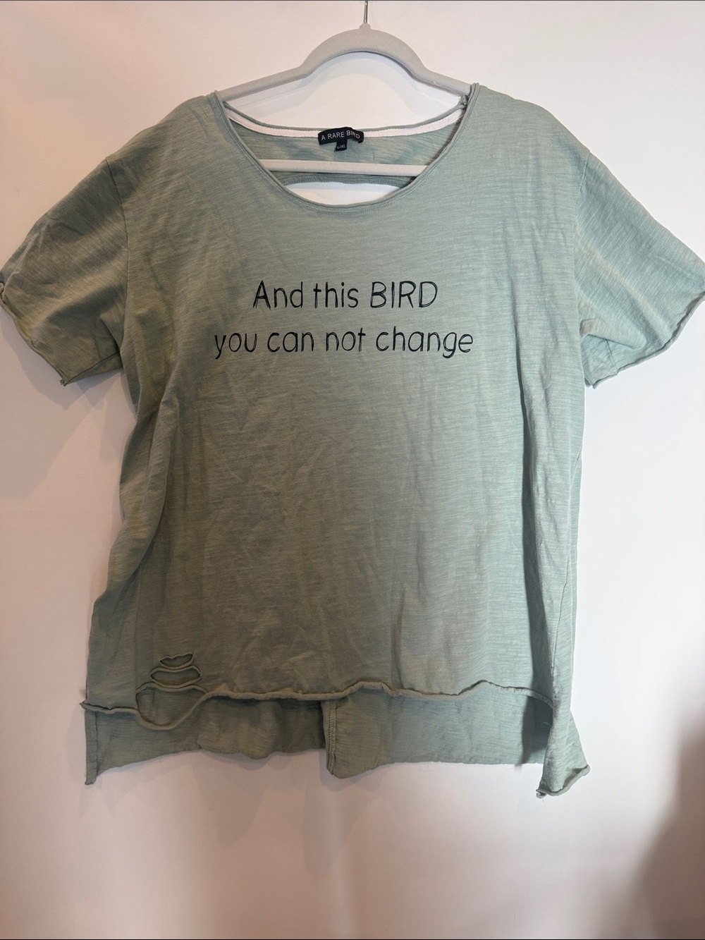 A Rare Sage Green Short Sleeve Oversized Tee - 'And This Bird'